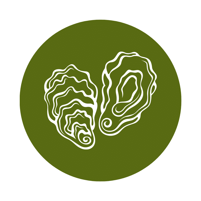 oyster icon