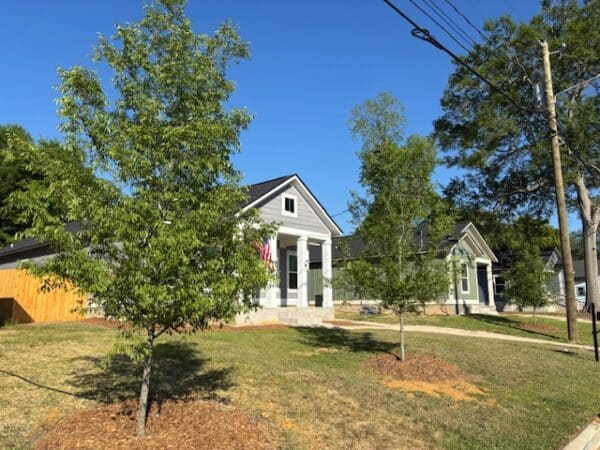 Trees planted by Landmarks’ Live Oak Society in Spring 2026. These trees were gifted to Thomasville Community Development Corporation (TCDC) which has recently constructed four new residences on N. Stevens Street. All four homes are being sold for workforce housing.